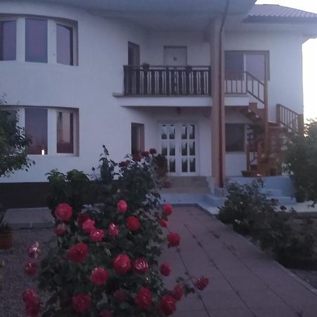 Casa Doina Otel Douăzeci şi Trei August Dış mekan fotoğraf