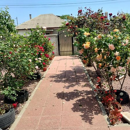 Casa Doina Otel Douăzeci şi Trei August Dış mekan fotoğraf