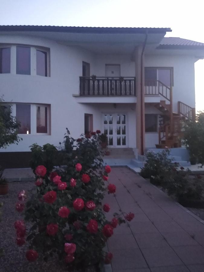 Casa Doina Otel Douăzeci şi Trei August Dış mekan fotoğraf