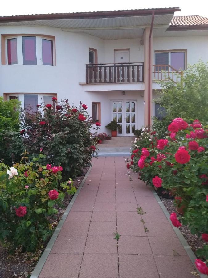 Casa Doina Otel Douăzeci şi Trei August Dış mekan fotoğraf