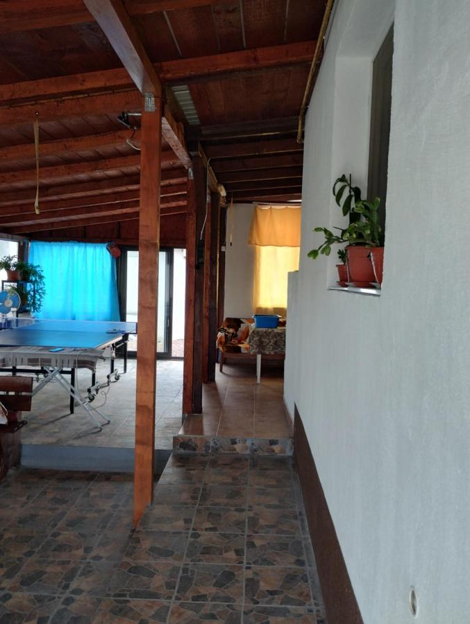 Casa Doina Otel Douăzeci şi Trei August Dış mekan fotoğraf