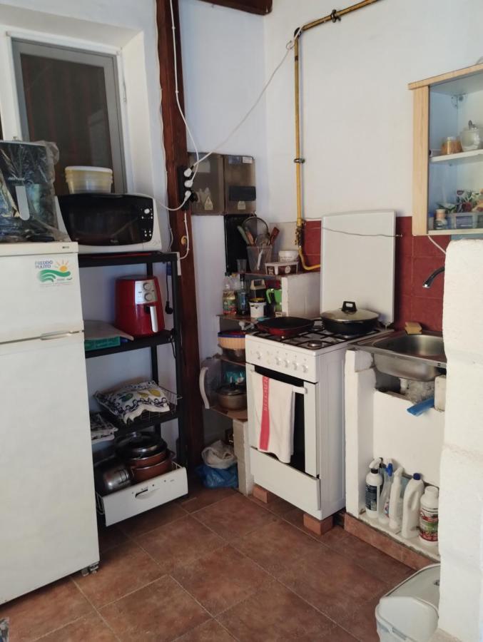 Casa Doina Otel Douăzeci şi Trei August Dış mekan fotoğraf