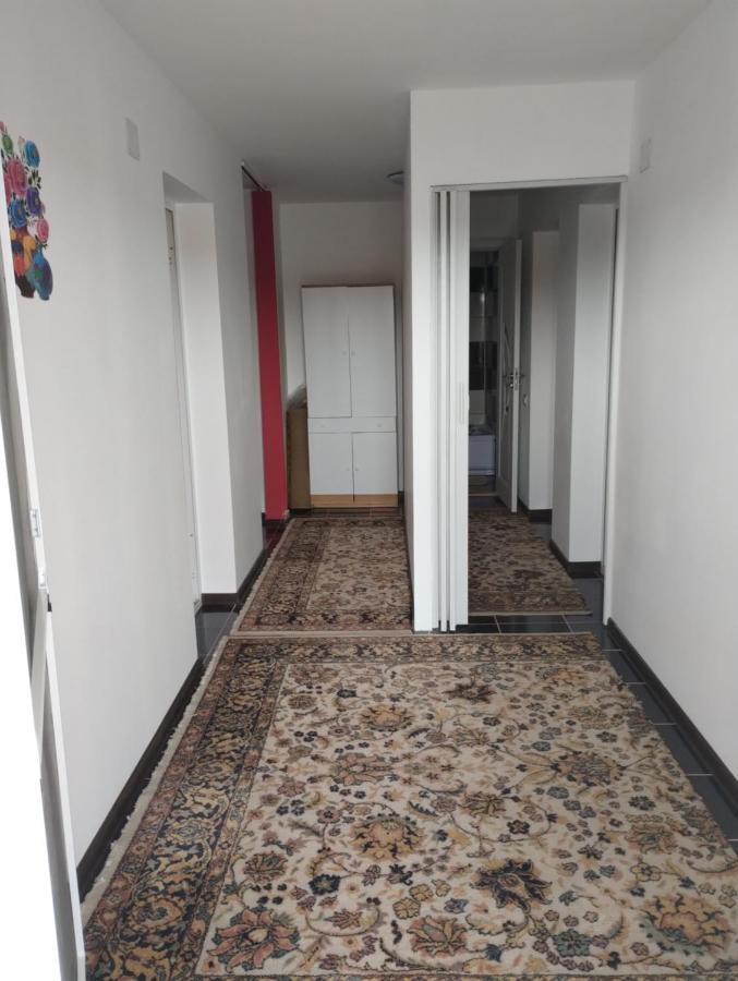 Casa Doina Otel Douăzeci şi Trei August Dış mekan fotoğraf