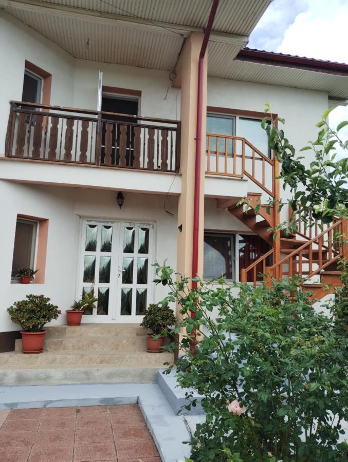 Casa Doina Otel Douăzeci şi Trei August Dış mekan fotoğraf