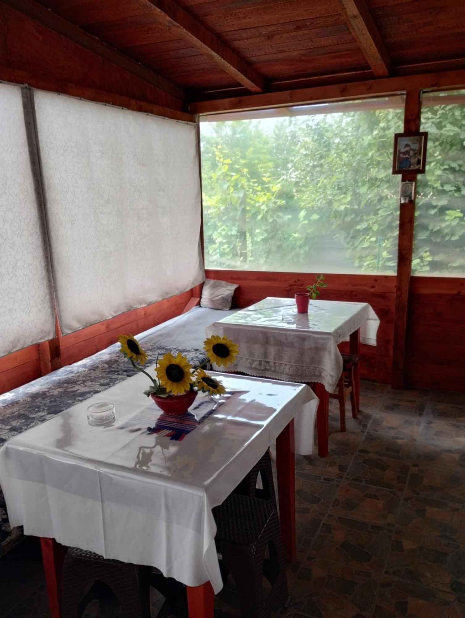 Casa Doina Otel Douăzeci şi Trei August Dış mekan fotoğraf