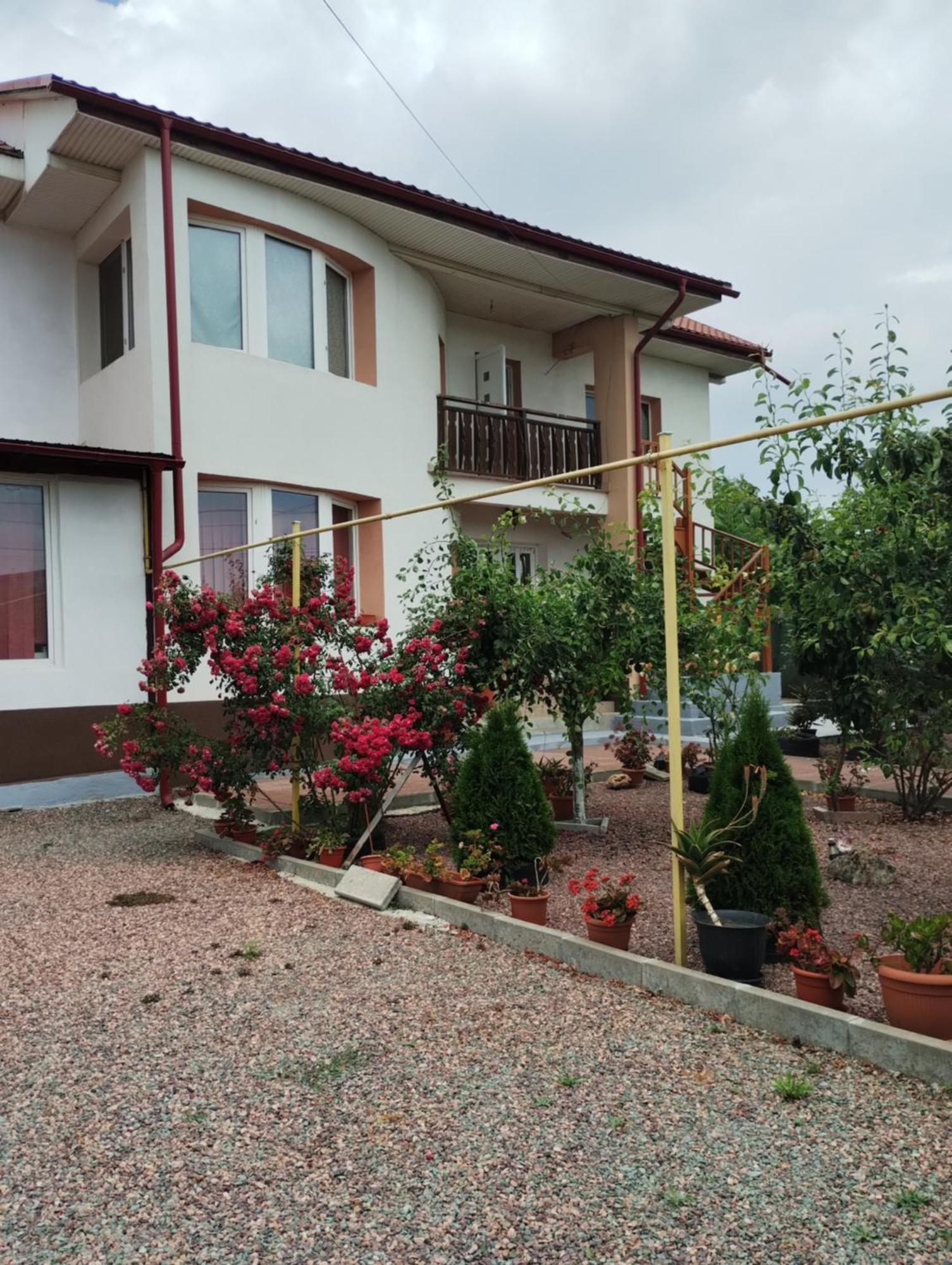 Casa Doina Otel Douăzeci şi Trei August Dış mekan fotoğraf