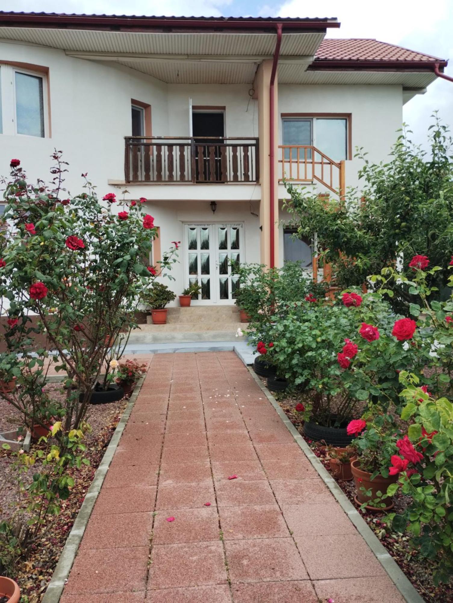 Casa Doina Otel Douăzeci şi Trei August Dış mekan fotoğraf